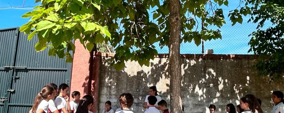noticia 1- 11 de junio