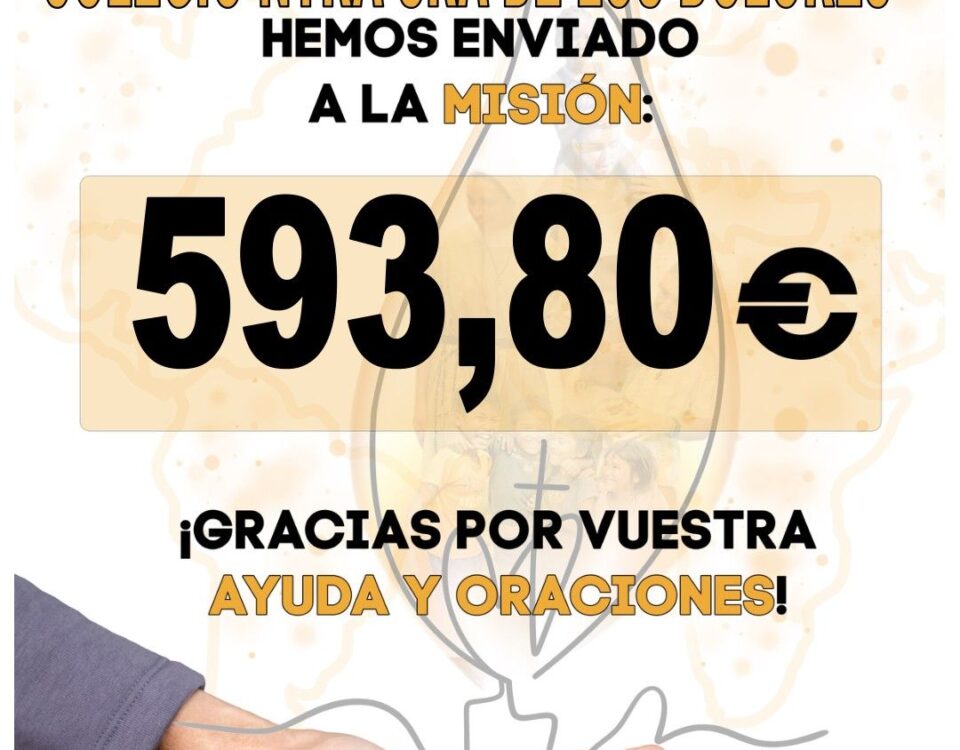 noticia 6 noviembre